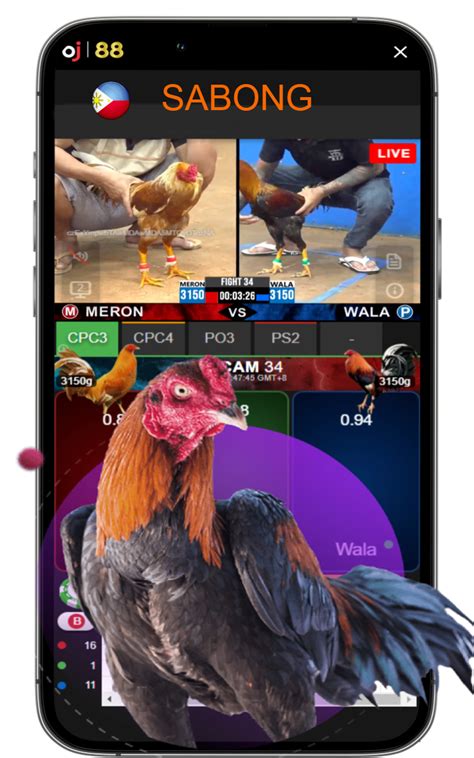 asian sabong|Asian Cockfighting.